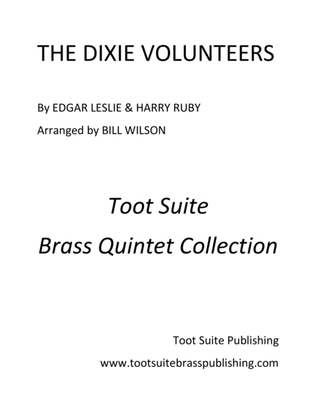 Book cover for The Dixie Volunteers