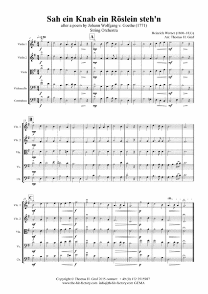 Sah ein Knab ein Roeslein stehn - German Folk Song - String Orchestra image number null
