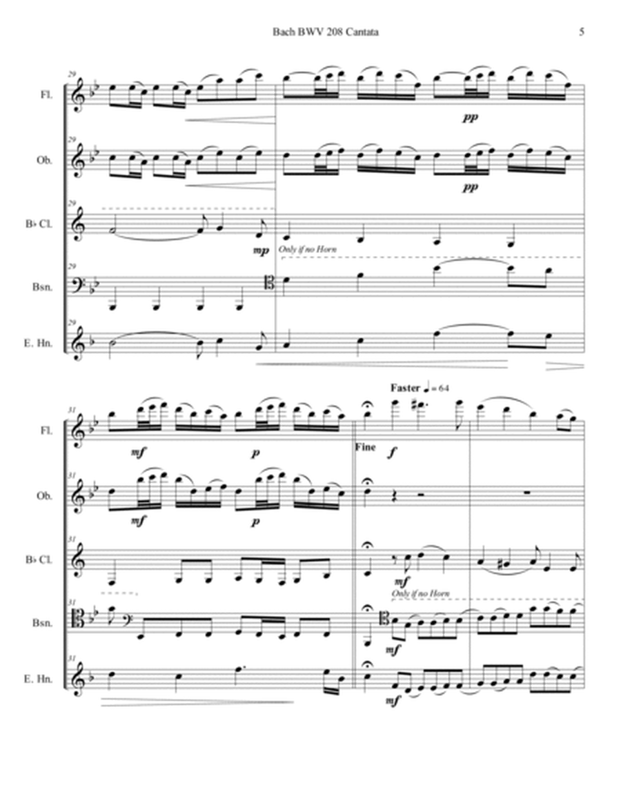 Bach BWV 208 Cantata Aria May Sheep Safely Graze