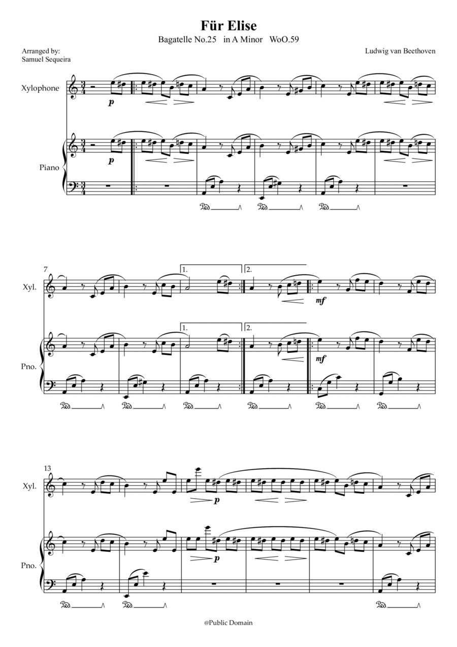Für Elise (For Elise) - for Xylophone and Piano accompaniment - with Piano Play along Piano scores gallery preview page 1