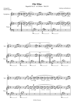 Für Elise (For Elise) - for Xylophone and Piano accompaniment - with Piano Play along