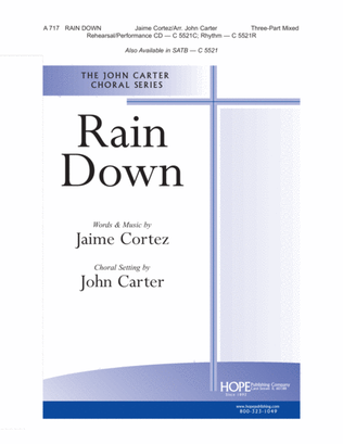 Book cover for Rain Down