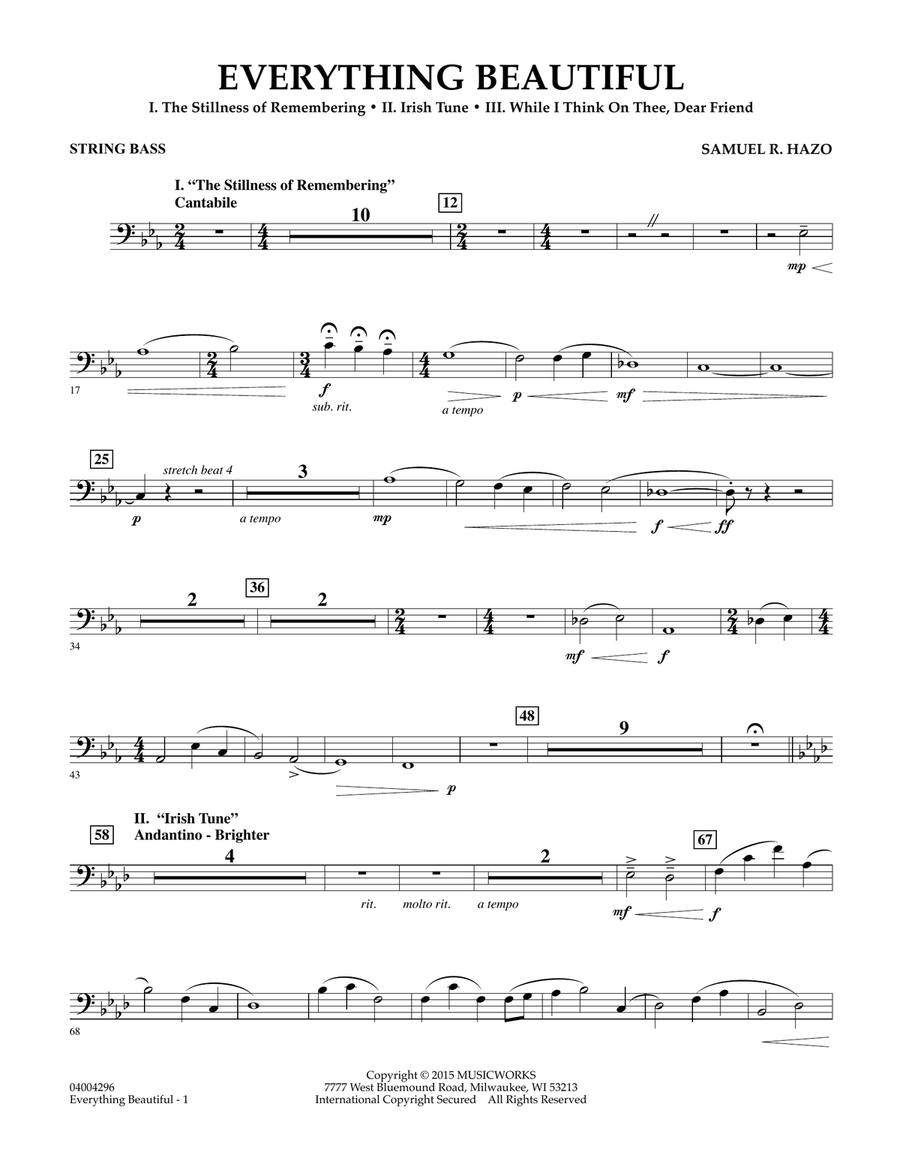 Everything Beautiful - String Bass Concert Band scores gallery preview page 1