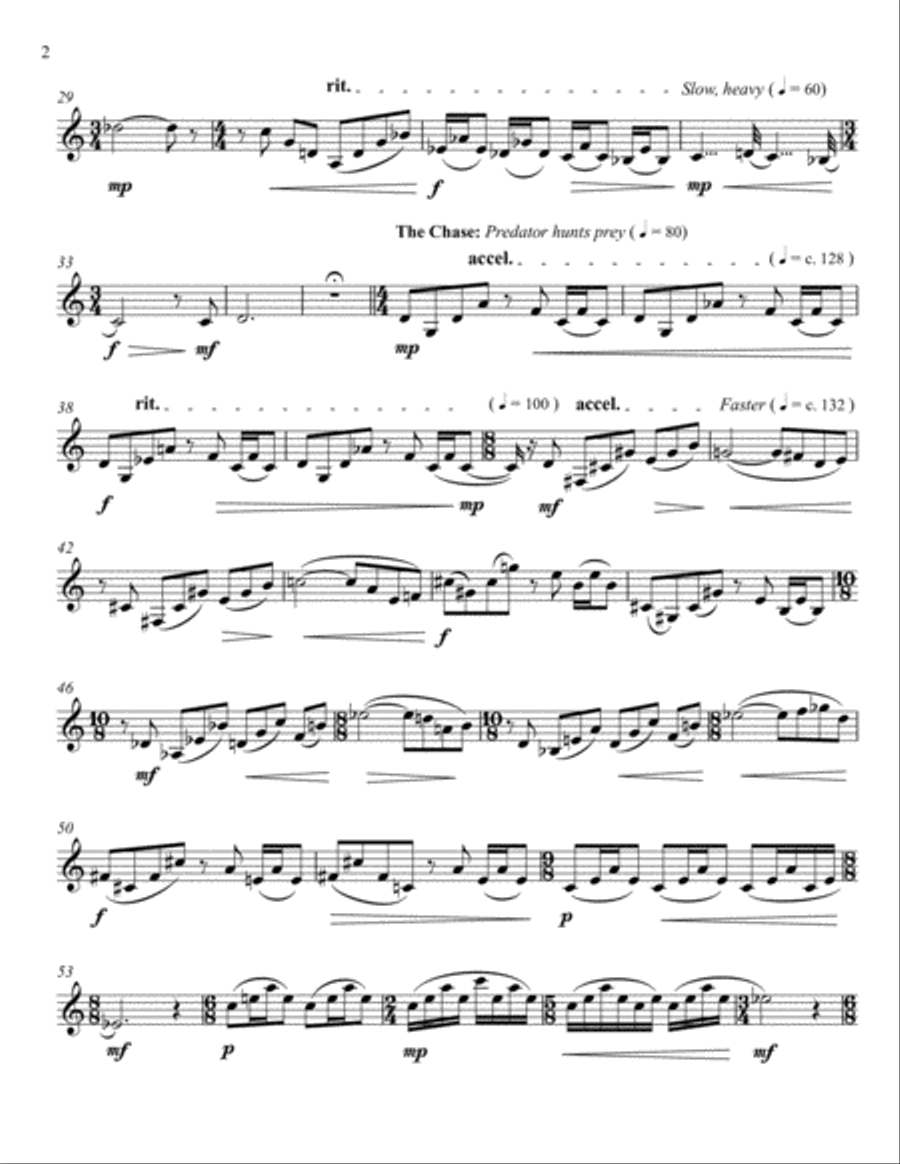 Nocturne of the Desert (for Solo Clarinet) Clarinet Solo scores gallery preview page 2