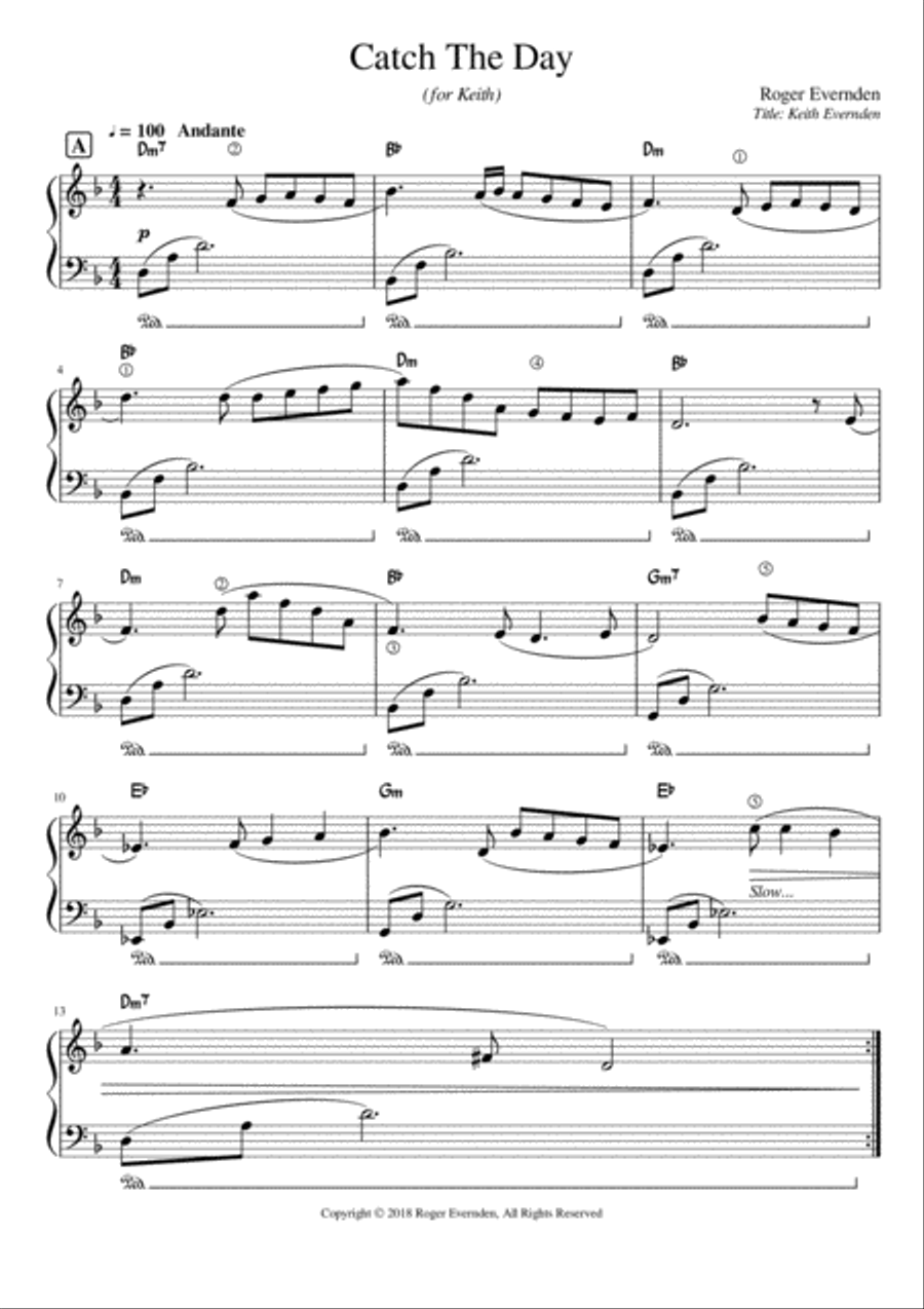 Catch The Day Piano Solo scores gallery preview page 1