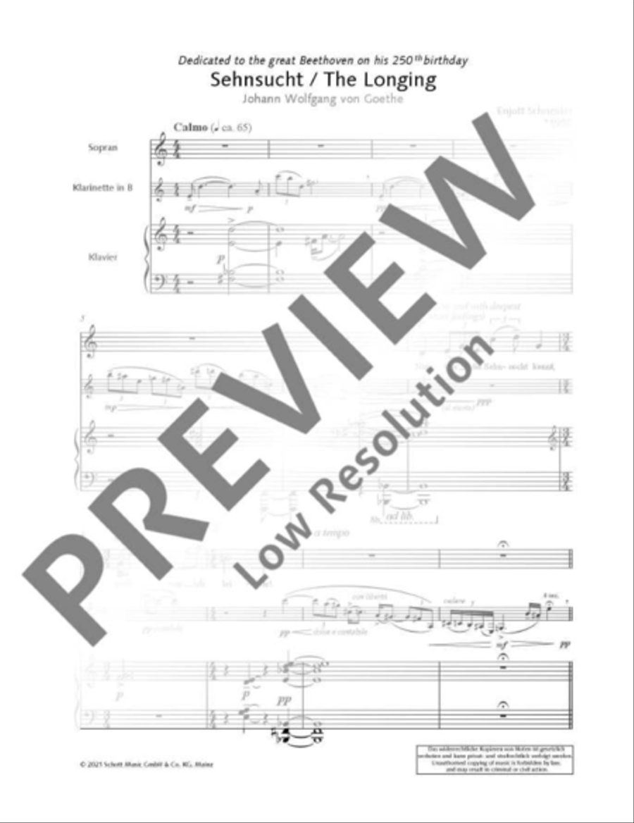 The Longing The Longing Clarinet scores gallery preview page 5