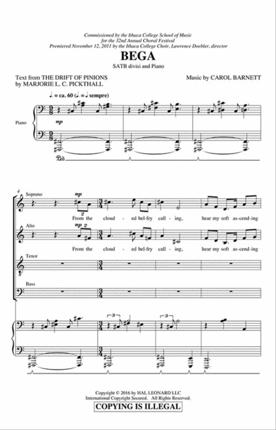 Bega Bega Divisi scores gallery preview page 2