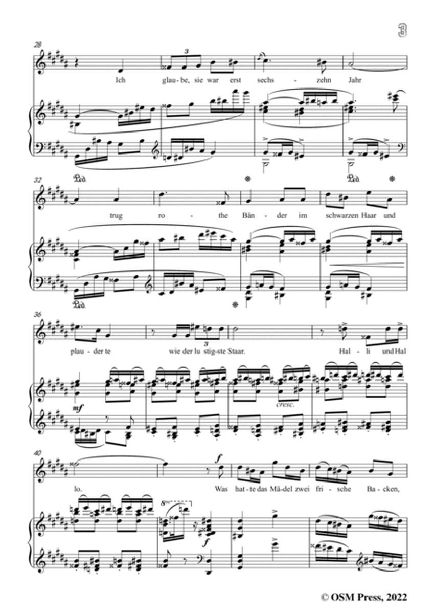 Richard Strauss-Bruder Liederlich,in B Major,Op.41 No.4 image number null