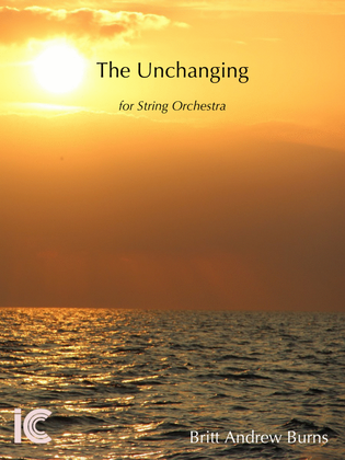 Book cover for The Unchanging