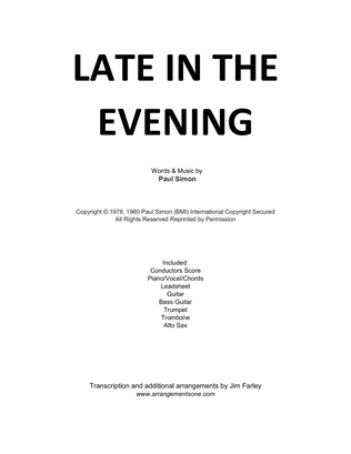 Book cover for Late In The Evening