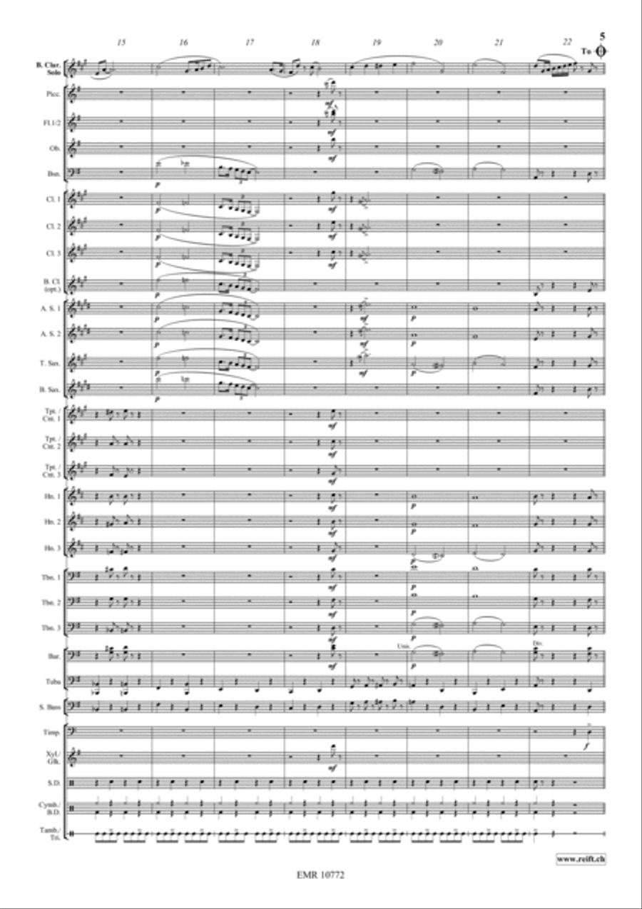 Concerto Piccolo Concerto Piccolo Concert Band scores gallery preview page 5