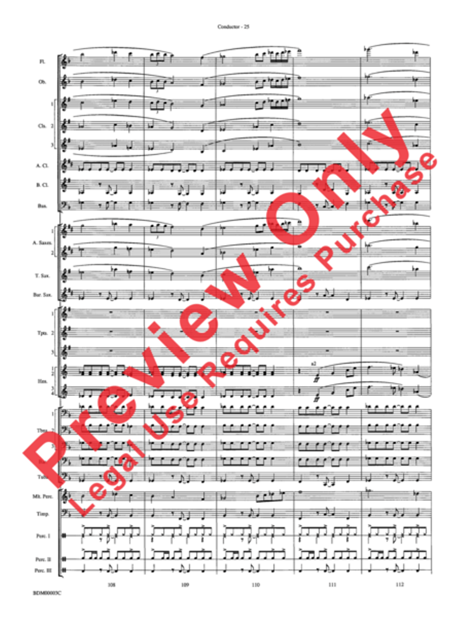 Overture de Argentina Overture de Argentina Concert Band scores gallery preview page 27