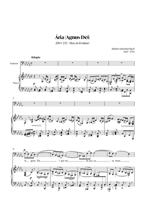 Aria (Agnus dei) from the Mass in B Minor (BACH) - Baritone_Bbm
