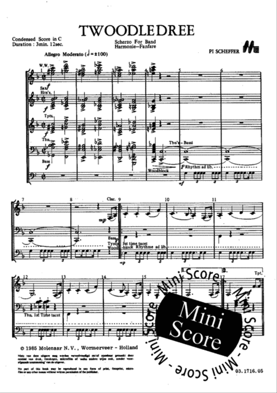 Twoodledree Fanfare Band scores gallery preview page 5