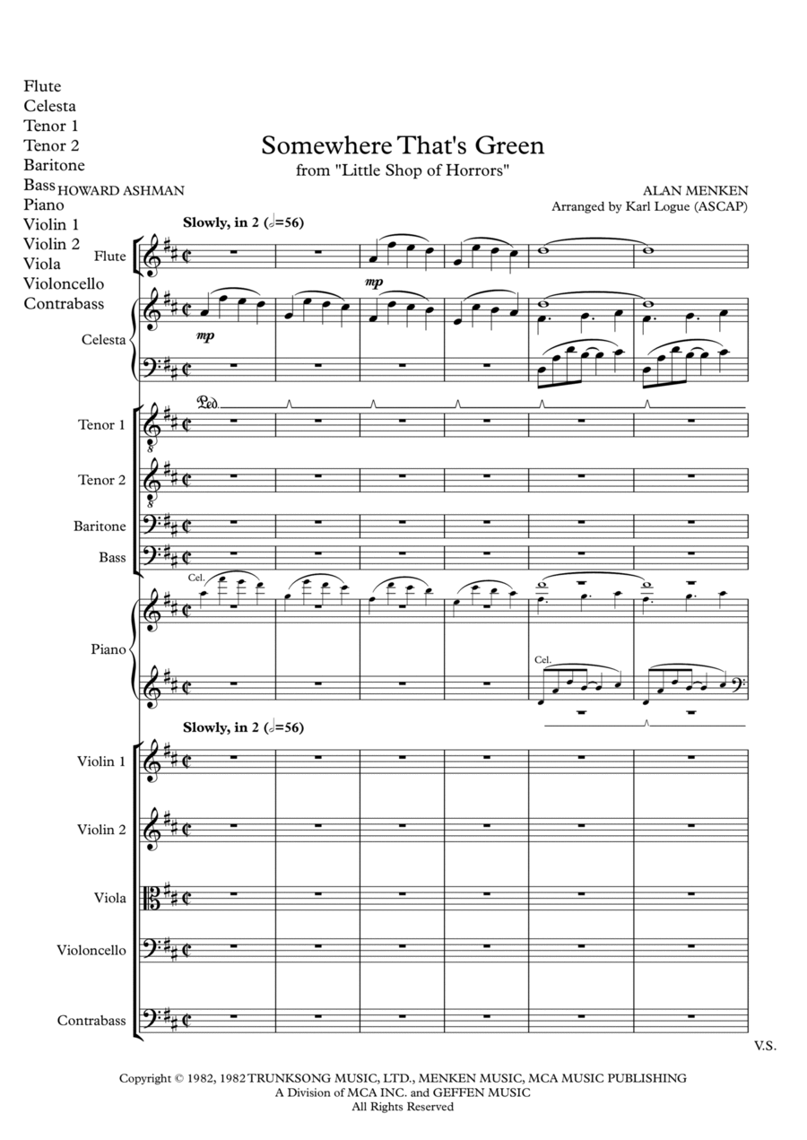 Somewhere That's Green Chamber Orchestra scores gallery preview page 1