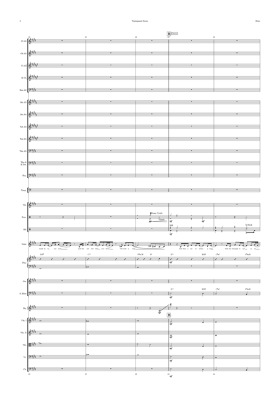 Hero Full Orchestra scores gallery preview page 2