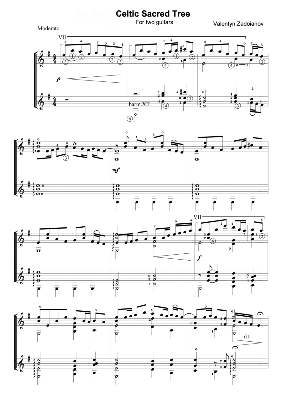 Celtic Sacred Tree Acoustic Guitar scores gallery preview page 1