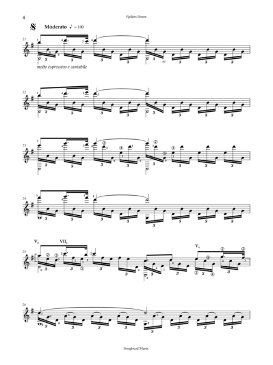 Fjellets Dröm (The Mountain's Dream) Acoustic Guitar scores gallery preview page 4