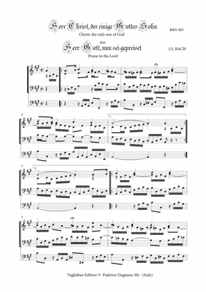 BACH J.S. - BWV 601 - HERR CHRIST, DER EIN'GE GOTTES SOHN - For Organ 3 staff
