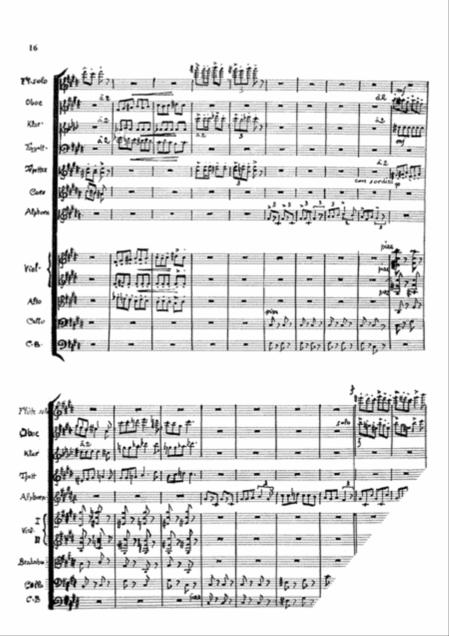 3. Alphorn Concerto Orchestra scores gallery preview page 16