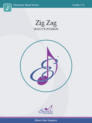 Book cover for Zig Zag