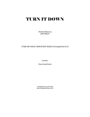 Book cover for Turn It Down