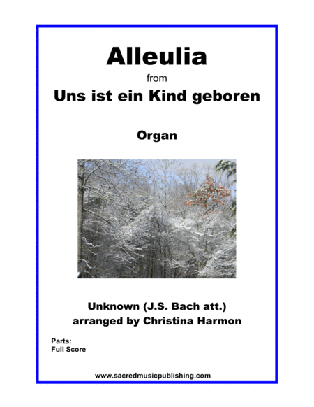 Alleulia from Uns ist ein Kind geboren - Organ image number null