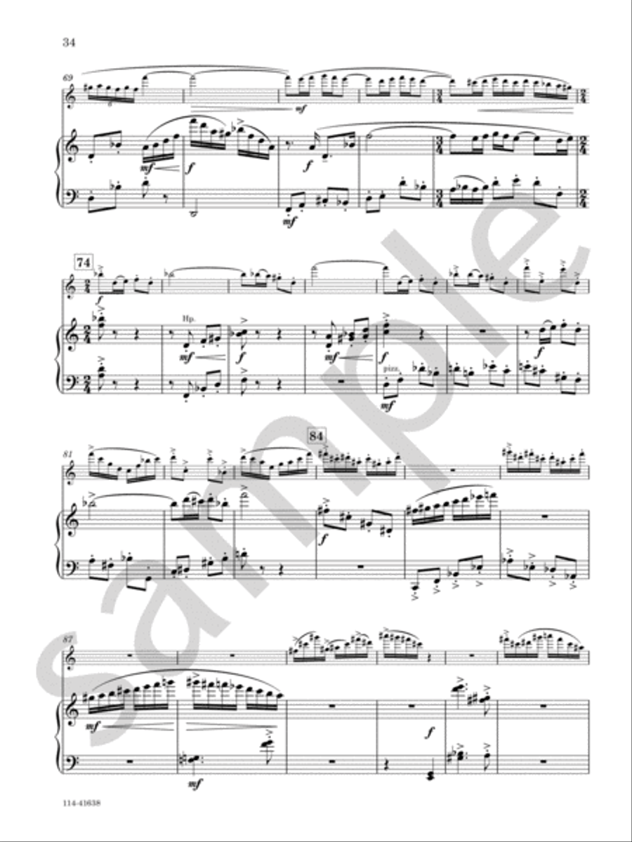 Concerto For Flute And Orchestra Chamber Music scores gallery preview page 14