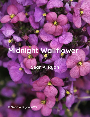 Midnight Wallflower