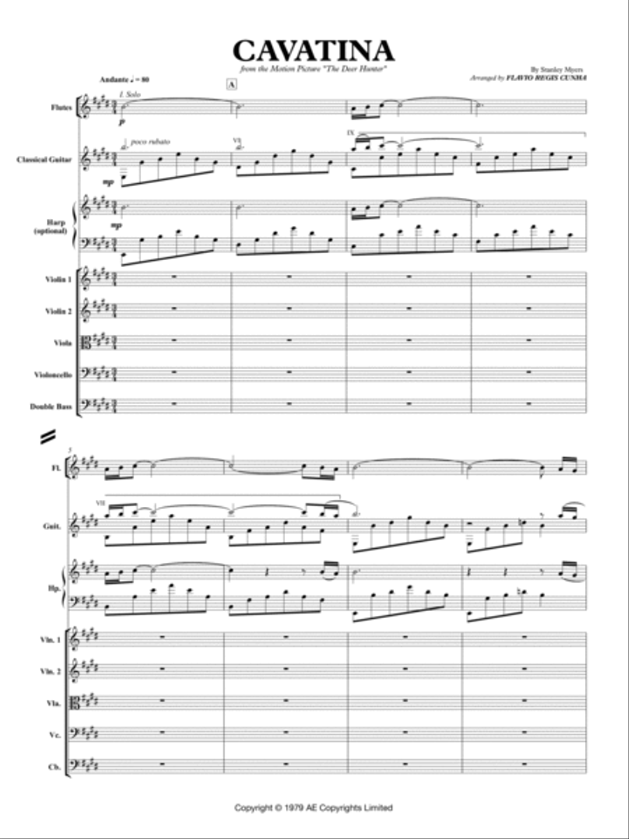 Cavatina Chamber Orchestra scores gallery preview page 3