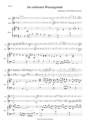 Im schönsten Wiesengrunde for flute, viola and piano