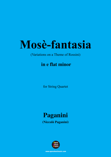 Paganini-Variations on a Theme of Rossini(Mose-fantasia),MS 23,in e flat minor image number null