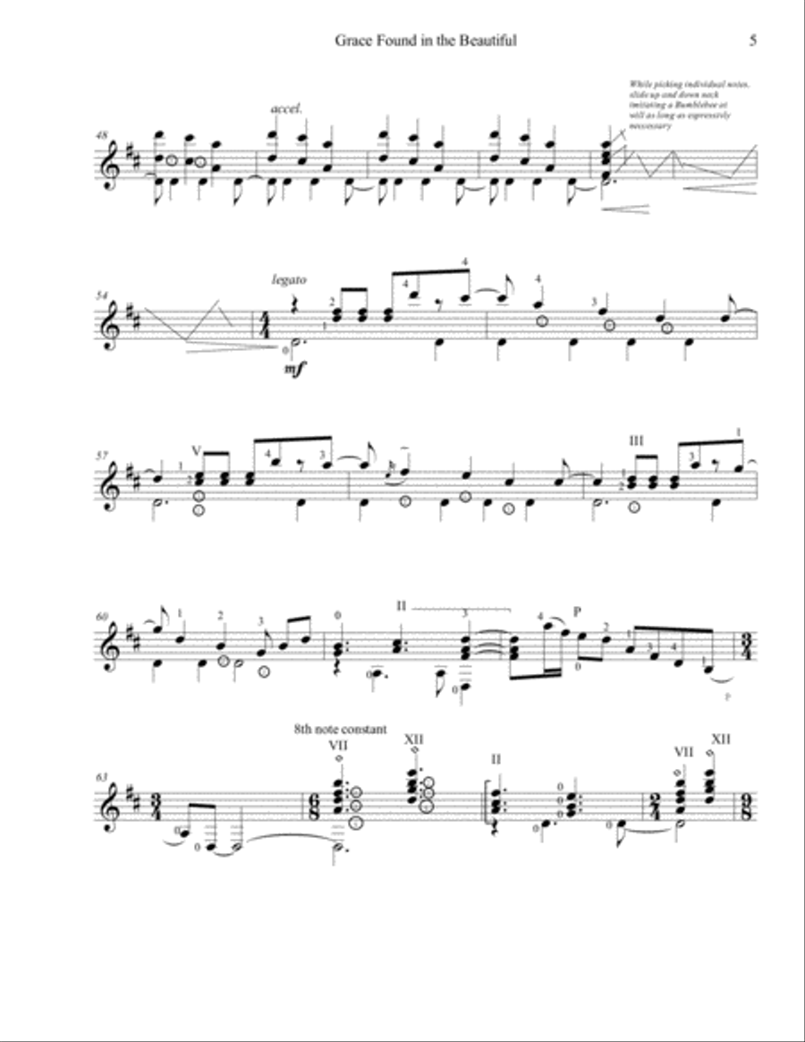 Grace Found in the Beautiful (Bumblebees, Butterflies and Hummingbirds) Guitar Solo scores gallery preview page 5