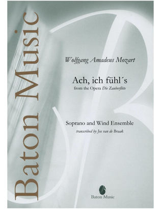 Book cover for Ach, ich fühl's