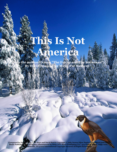 This Is Not America image number null