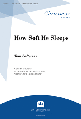 Book cover for How Soft He Sleeps