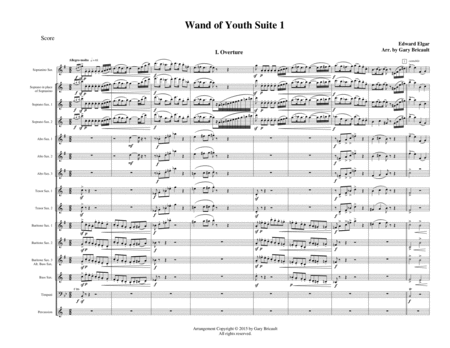 Wand of Youth Suite No. 1 - Opus 1a image number null