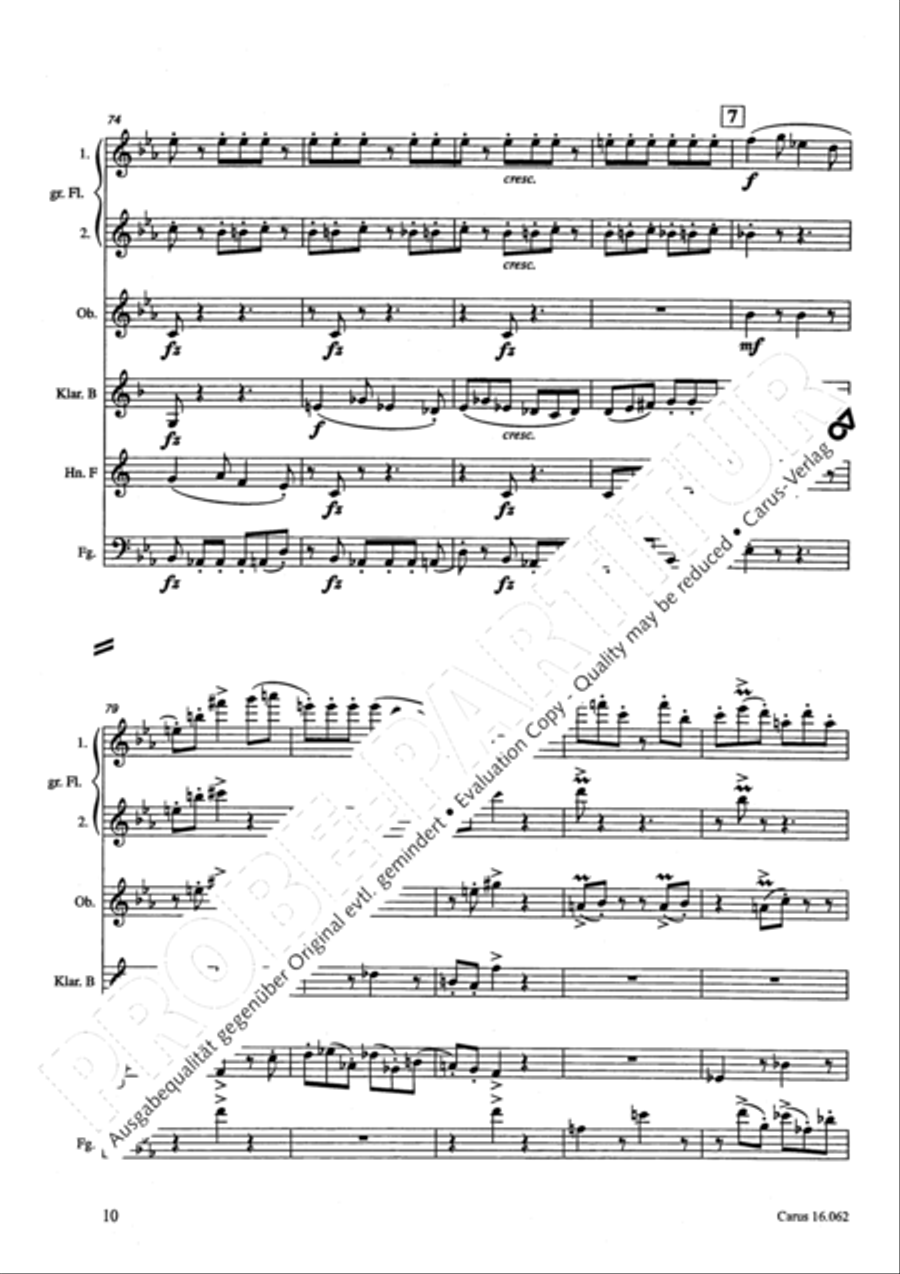 Musik fur sechs Blaser Musik fur sechs Blaser Bassoon scores gallery preview page 13