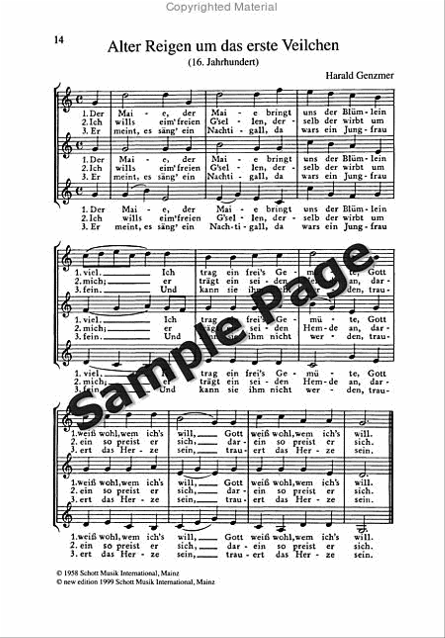 Roller Coaster Ride Piano Solo scores gallery preview page 15
