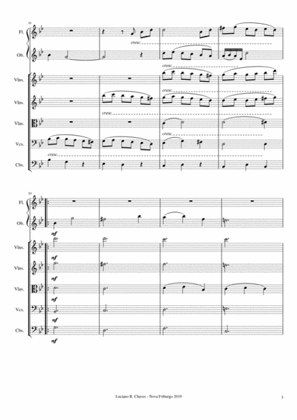 Concerto duplo para flauta, oboé e cordas, Op.11 image number null