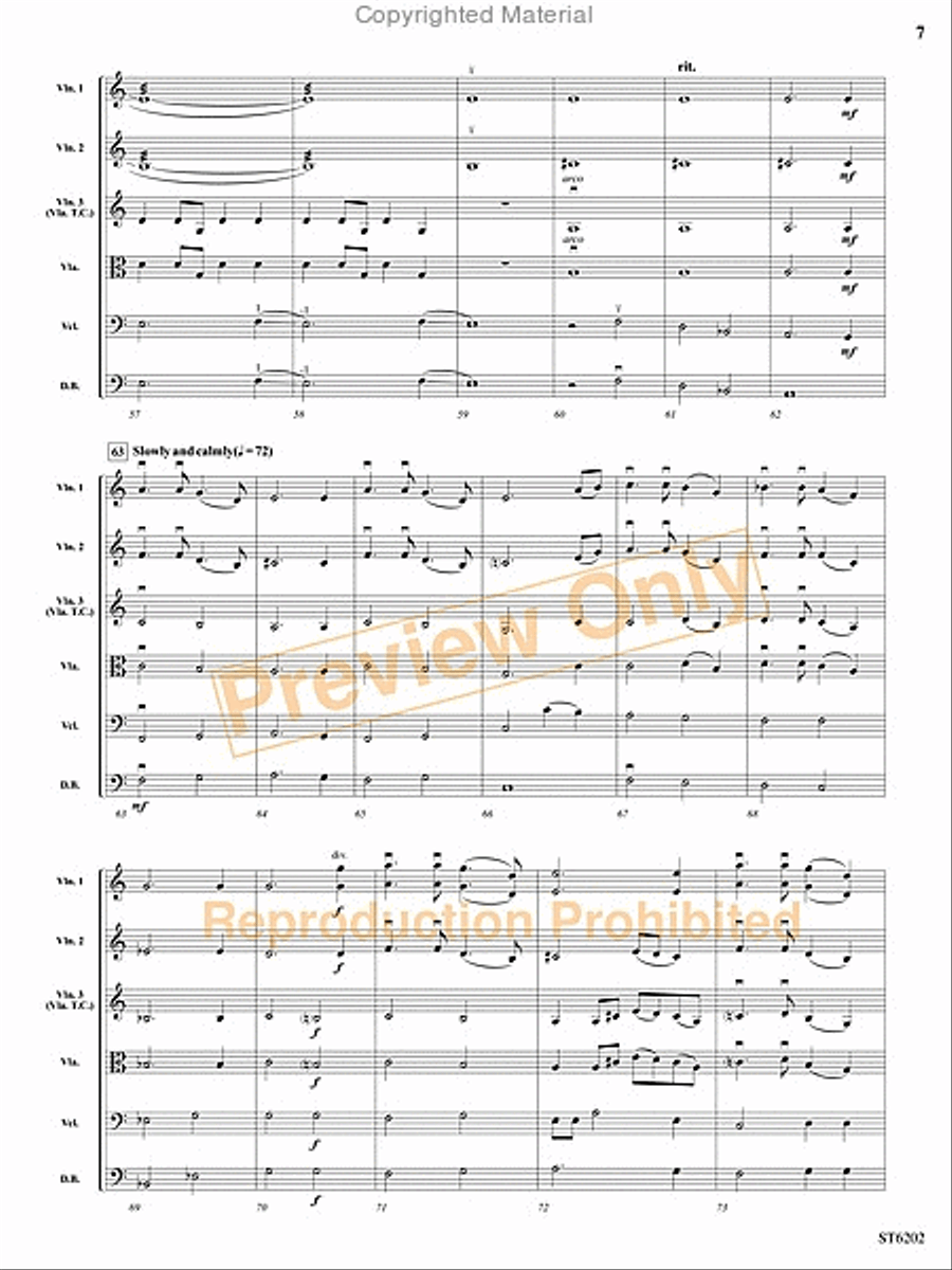 Ghost Carnival String Orchestra scores gallery preview page 6