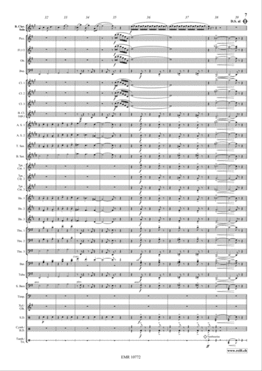 Concerto Piccolo Concert Band scores gallery preview page 7