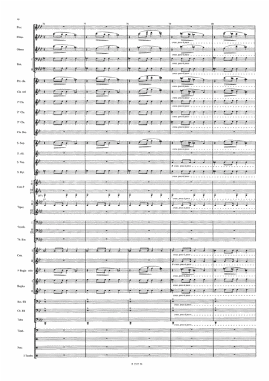 Symphonie Funebre et Triomphale Concert Band scores gallery preview page 17