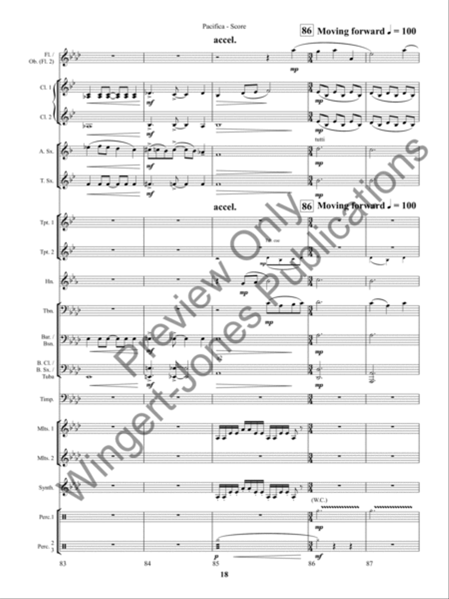 Seige Seige Concert Band scores gallery preview page 21