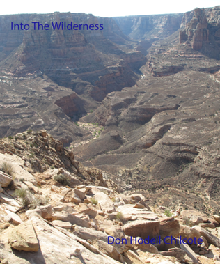Book cover for Into The Wilderness