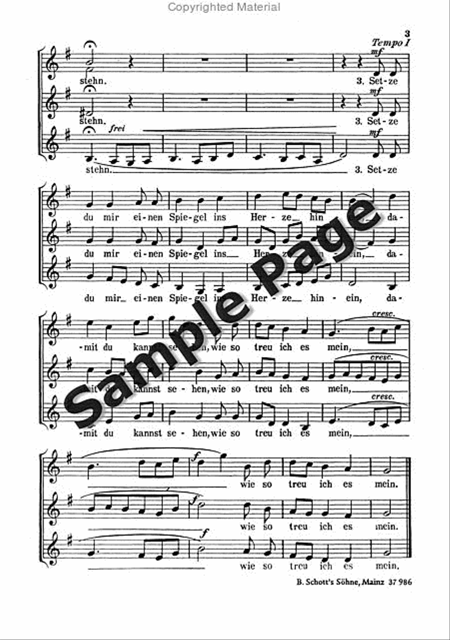 Rein W Kein Feuer Keine Kohle SMezA scores gallery preview page 4