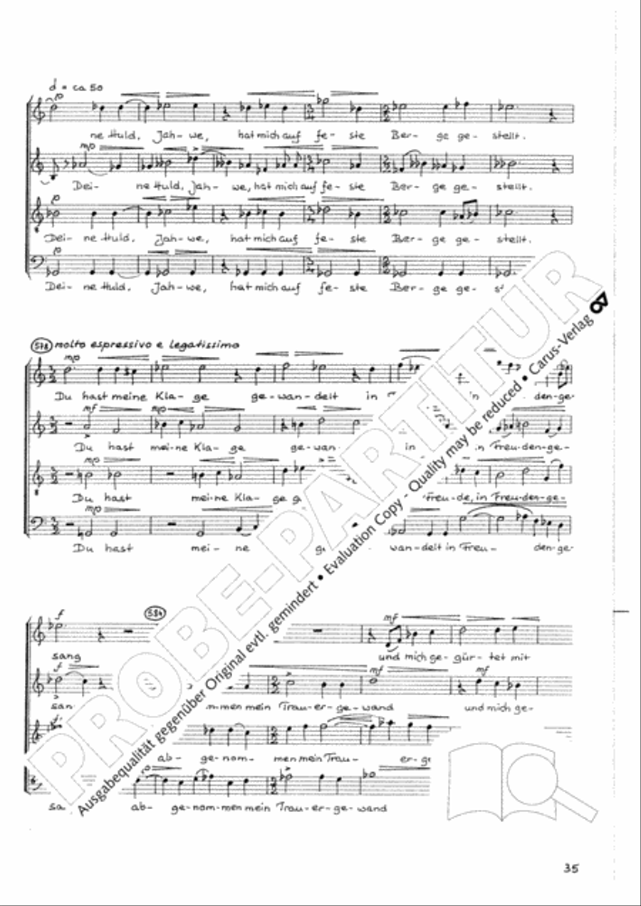 Namen-Gottes-Litanei Namen-Gottes-Litanei Mixed Choir scores gallery preview page 36