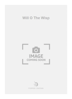 Book cover for Will O The Wisp