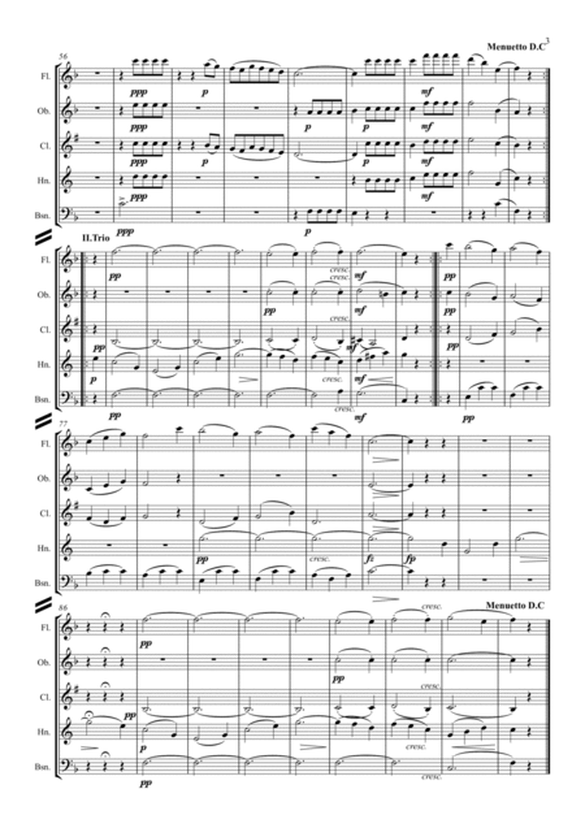Schubert: Wind Octet D.72 Mvt.III Menuetto and Trio - wind quintet image number null