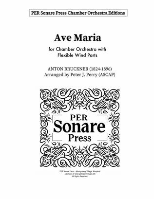 Book cover for AVE MARIA